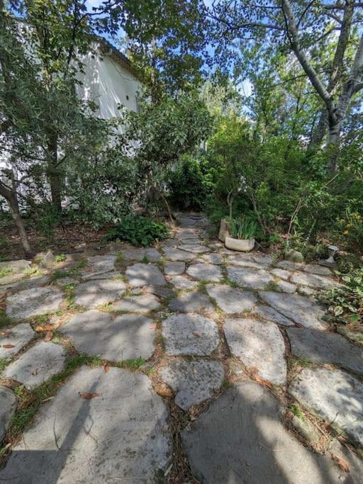 Maison Spacieuse Et Lumineuse 4 Personnes Lavilledieu  エクステリア 写真