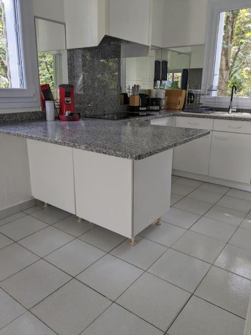 Maison Spacieuse Et Lumineuse 4 Personnes Lavilledieu  エクステリア 写真